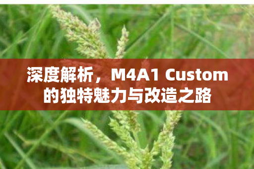 深度解析，M4A1 Custom的独特魅力与改造之路