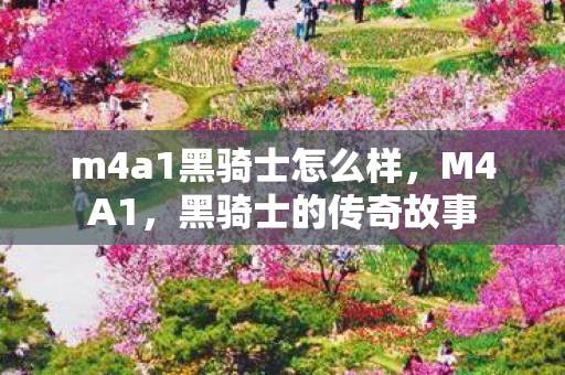 m4a1黑骑士怎么样，M4A1，黑骑士的传奇故事