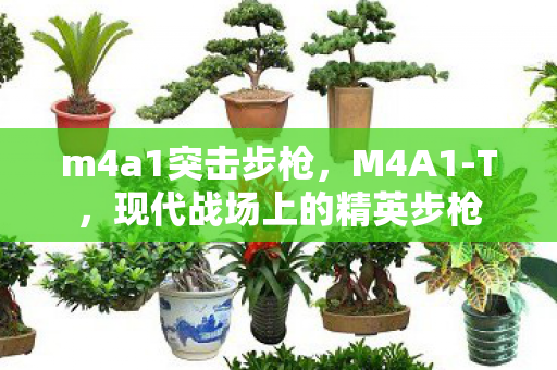 m4a1突击步枪，M4A1-T，现代战场上的精英步枪