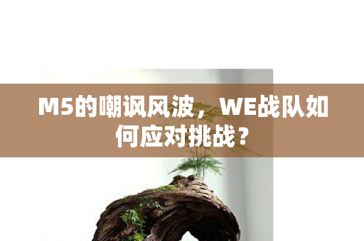 M5的嘲讽风波，WE战队如何应对挑战？