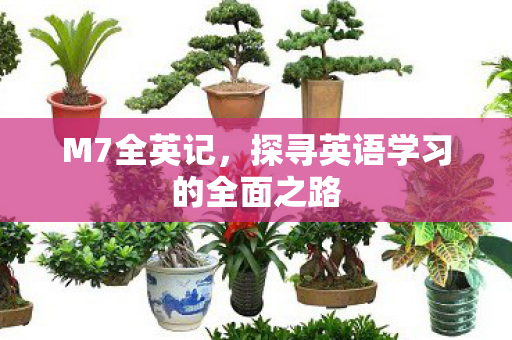M7全英记，探寻英语学习的全面之路