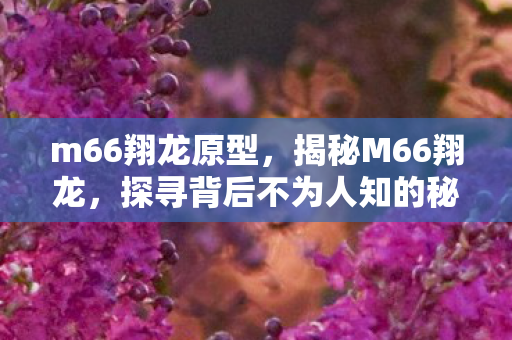 m66翔龙原型，揭秘M66翔龙，探寻背后不为人知的秘密