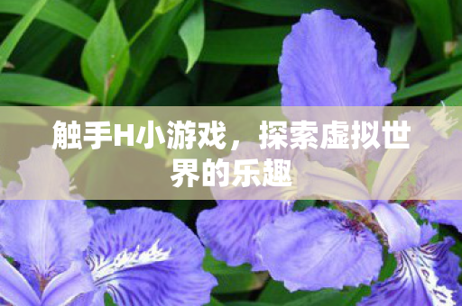 触手H小游戏,探索虚拟世界的乐趣 触手H小游戏,探索虚拟世界的乐趣