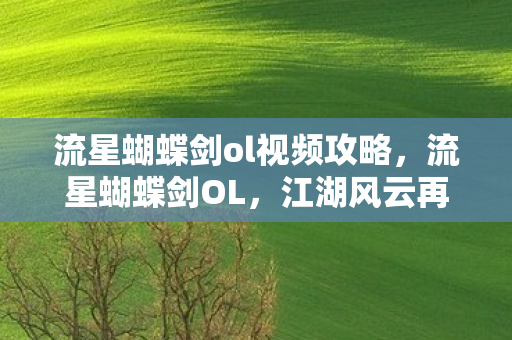 流星蝴蝶剑ol视频攻略，流星蝴蝶剑OL，江湖风云再起的热血战斗视频