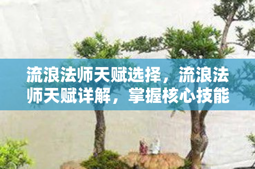 流浪法师天赋选择，流浪法师天赋详解，掌握核心技能，成为战场掌控者
