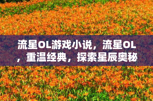 流星OL游戏小说，流星OL，重温经典，探索星辰奥秘