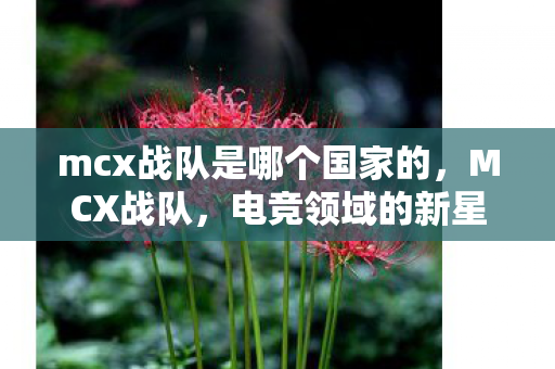 mcx战队是哪个国家的，MCX战队，电竞领域的新星
