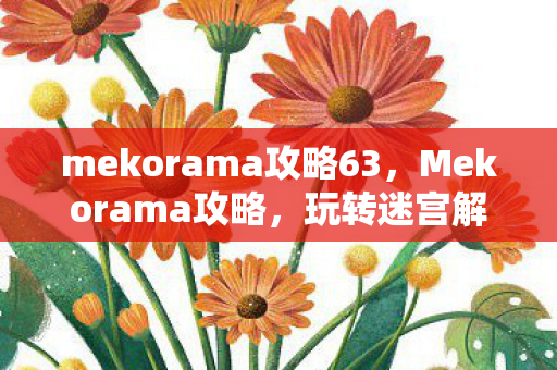 mekorama攻略63，Mekorama攻略，玩转迷宫解谜游戏