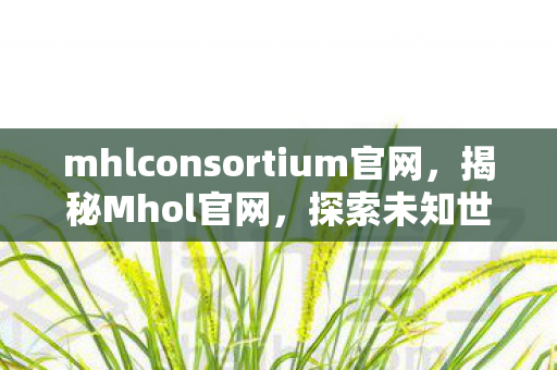 mhlconsortium官网，揭秘Mhol官网，探索未知世界的门户