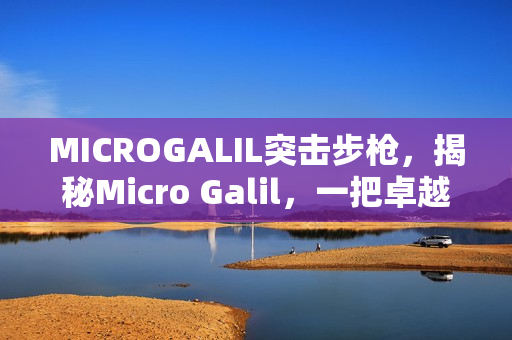 MICROGALIL突击步枪，揭秘Micro Galil，一把卓越武器的故事