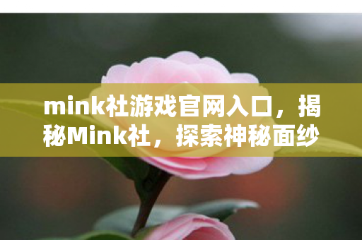 mink社游戏官网入口，揭秘Mink社，探索神秘面纱背后的真相