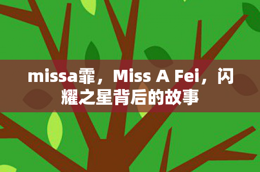 missa霏，Miss A Fei，闪耀之星背后的故事