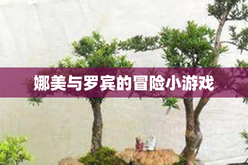 娜美与罗宾的冒险小游戏