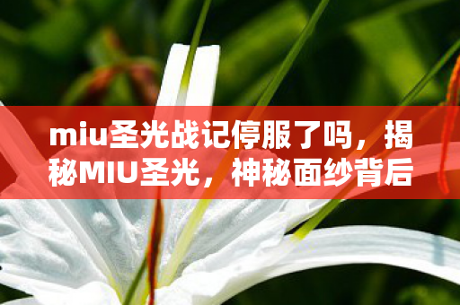 miu圣光战记停服了吗，揭秘MIU圣光，神秘面纱背后的真相
