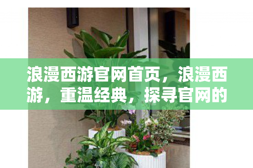 浪漫西游官网首页，浪漫西游，重温经典，探寻官网的神秘之旅