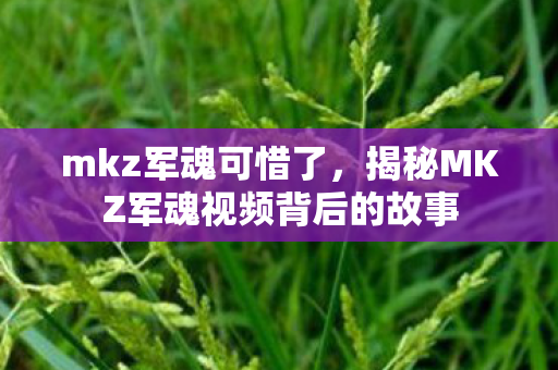 mkz军魂可惜了，揭秘MKZ军魂视频背后的故事