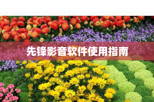 先锋影音软件使用指南