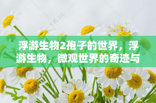 浮游生物2孢子的世界，浮游生物，微观世界的奇迹与生态之重要