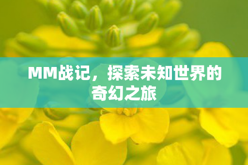MM战记，探索未知世界的奇幻之旅