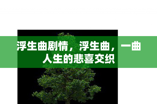 浮生曲剧情，浮生曲，一曲人生的悲喜交织
