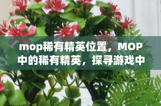 mop稀有精英位置，MOP中的稀有精英，探寻游戏中的神秘力量