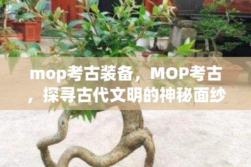mop考古装备，MOP考古，探寻古代文明的神秘面纱
