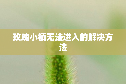 玫瑰小镇无法进入的解决方法