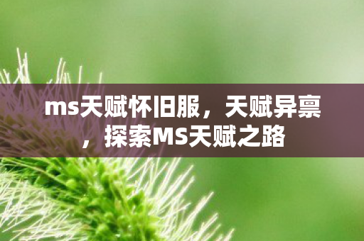 ms天赋怀旧服，天赋异禀，探索MS天赋之路