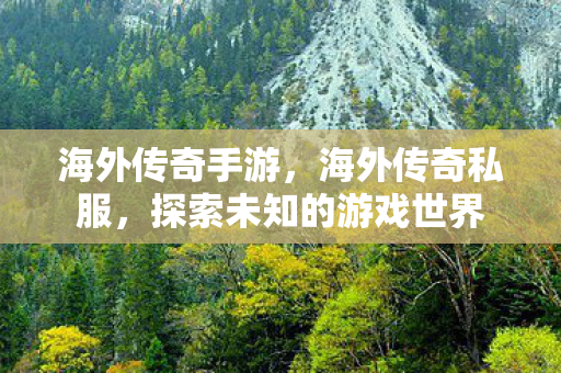 海外传奇手游，海外传奇私服，探索未知的游戏世界