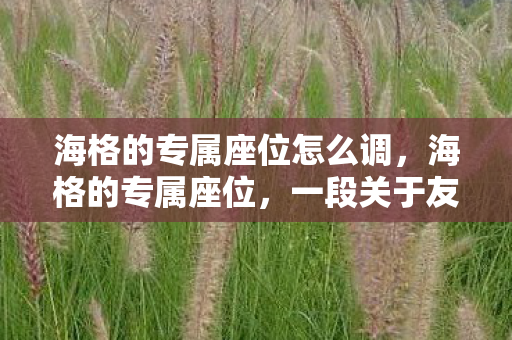 海格的专属座位怎么调，海格的专属座位，一段关于友情与陪伴的魔法旅程