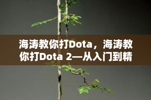 海涛教你打Dota，海涛教你打Dota 2—从入门到精通的全方位指南