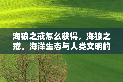 海狼之戒怎么获得，海狼之戒，海洋生态与人类文明的警戒线