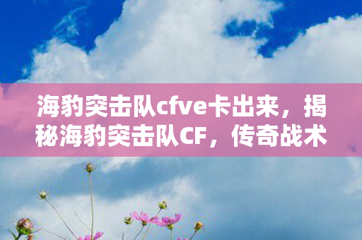 海豹突击队cfve卡出来，揭秘海豹突击队CF，传奇战术团队背后的故事