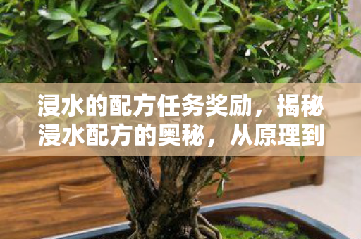 浸水的配方任务奖励，揭秘浸水配方的奥秘，从原理到实践，一文读懂！