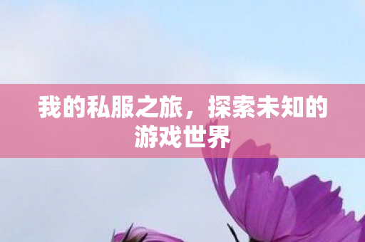 我的私服之旅，探索未知的游戏世界