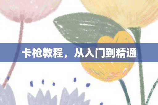 卡枪教程，从入门到精通