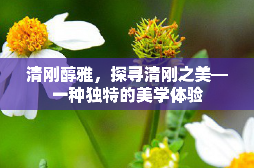 清刚醇雅，探寻清刚之美—一种独特的美学体验