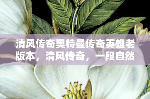 清风传奇奥特曼传奇英雄老版本，清风传奇，一段自然之美的邂逅与感悟