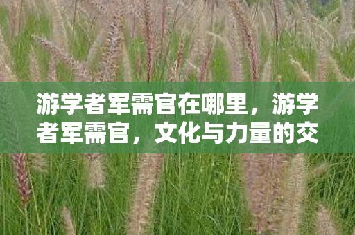 游学者军需官在哪里，游学者军需官，文化与力量的交汇点