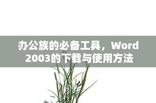 办公族的必备工具，Word 2003的下载与使用方法