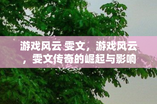 游戏风云 雯文，游戏风云，雯文传奇的崛起与影响