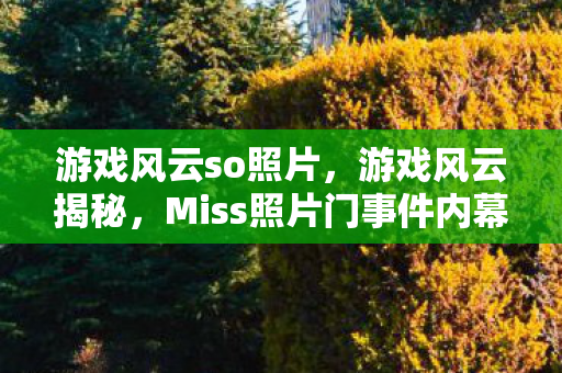 游戏风云so照片，游戏风云揭秘，Miss照片门事件内幕