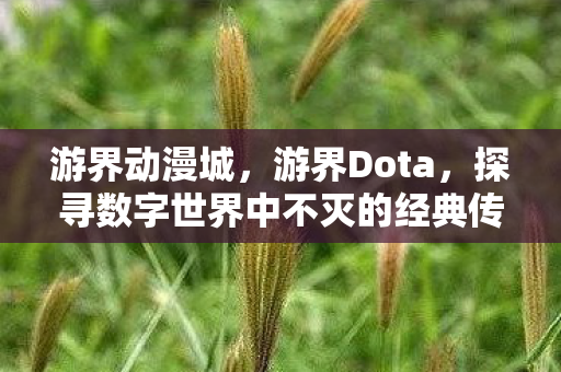 游界动漫城，游界Dota，探寻数字世界中不灭的经典传奇