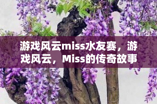 游戏风云miss水友赛，游戏风云，Miss的传奇故事