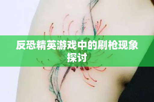 反恐精英游戏中的刷枪现象探讨