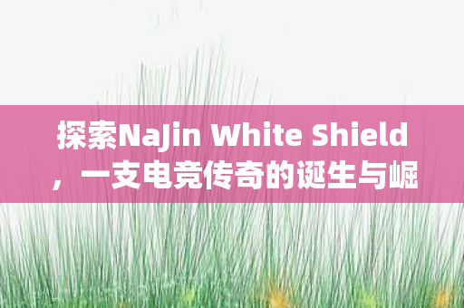 探索NaJin White Shield，一支电竞传奇的诞生与崛起之路