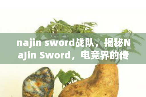 najin sword战队，揭秘NaJin Sword，电竞界的传奇之剑