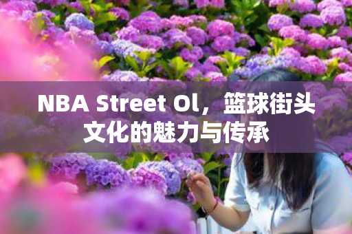 NBA Street Ol，篮球街头文化的魅力与传承