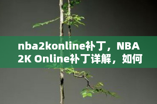 nba2konline补丁，NBA 2K Online补丁详解，如何下载、安装及使用
