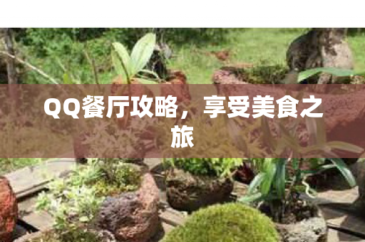 QQ餐厅攻略，享受美食之旅